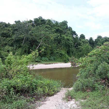 Cabana Wiwa Tayrona 로스나란조스 외부 사진