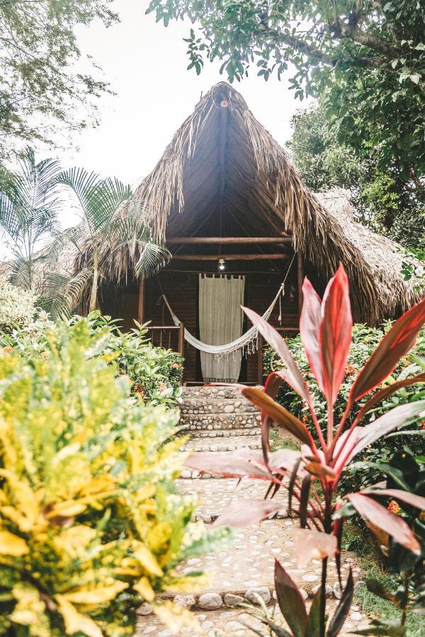 Cabana Wiwa Tayrona 로스나란조스 외부 사진