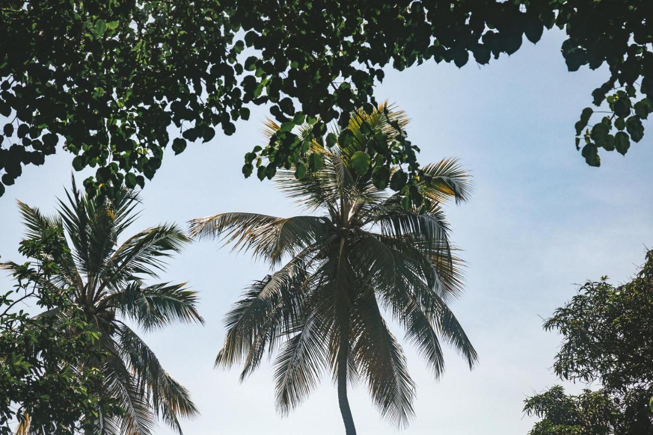 Cabana Wiwa Tayrona 로스나란조스 외부 사진