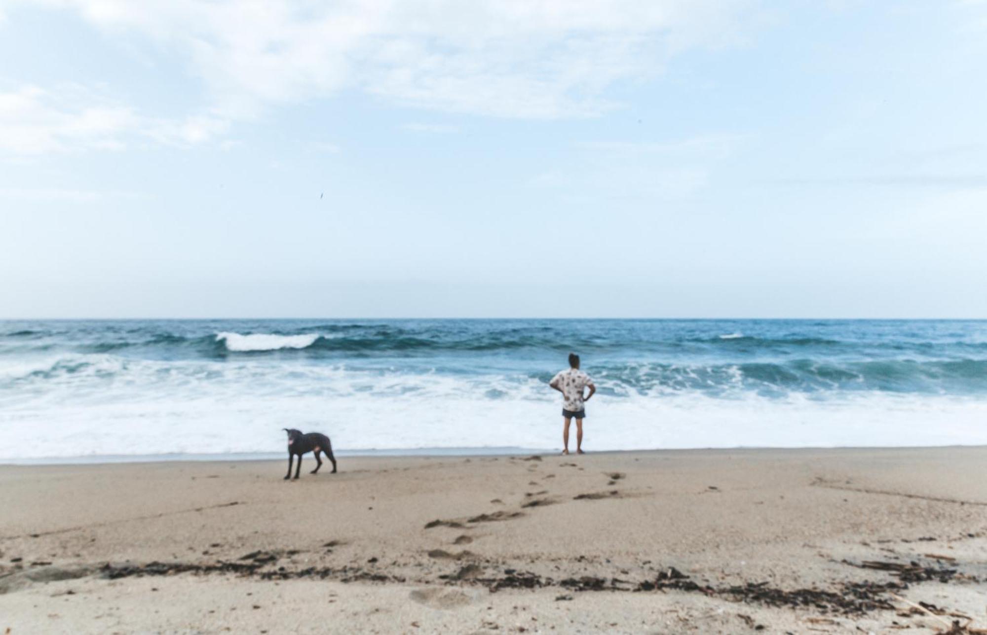 Cabana Wiwa Tayrona 로스나란조스 외부 사진