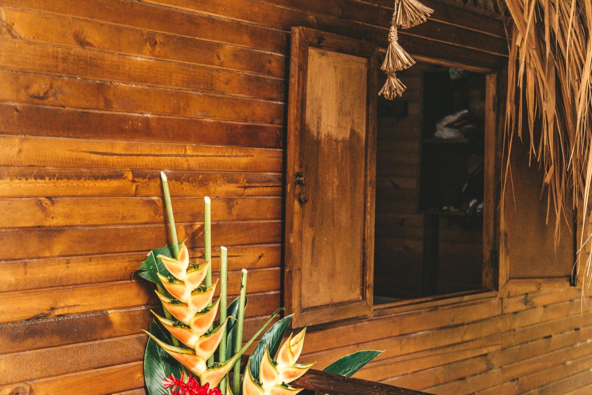 Cabana Wiwa Tayrona 로스나란조스 외부 사진