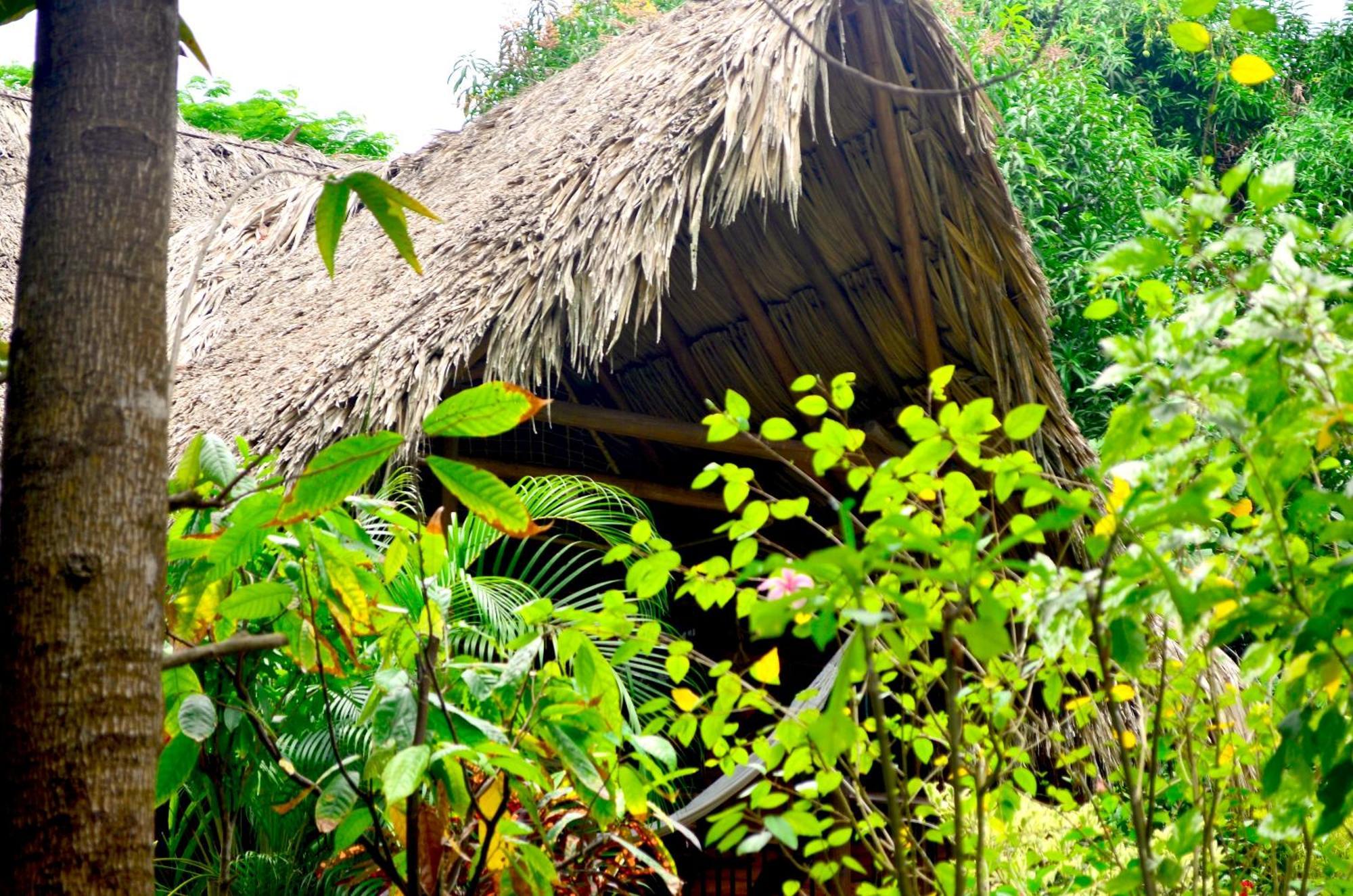 Cabana Wiwa Tayrona 로스나란조스 외부 사진