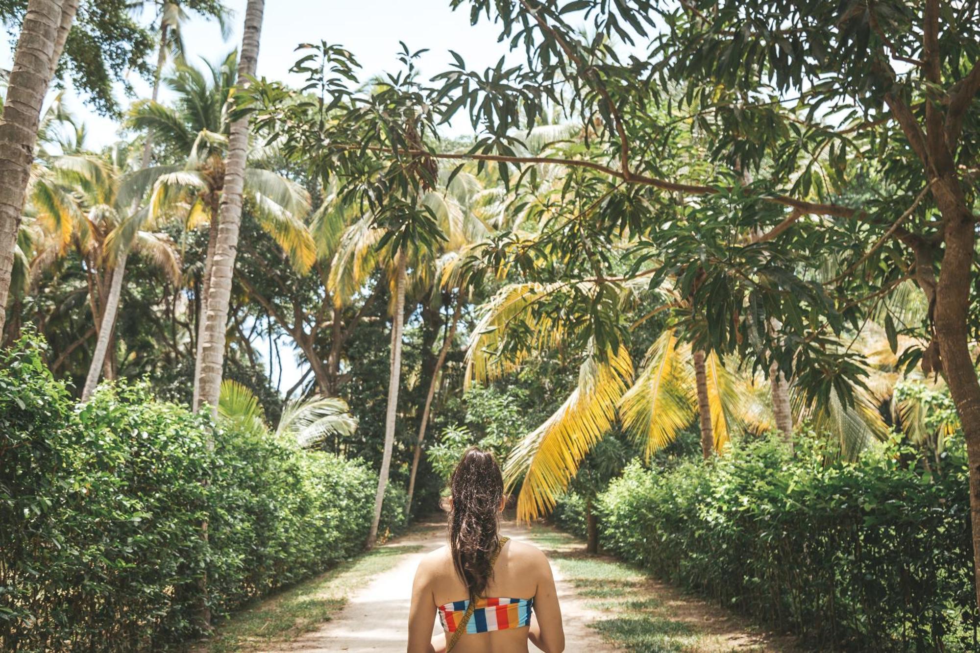Cabana Wiwa Tayrona 로스나란조스 외부 사진