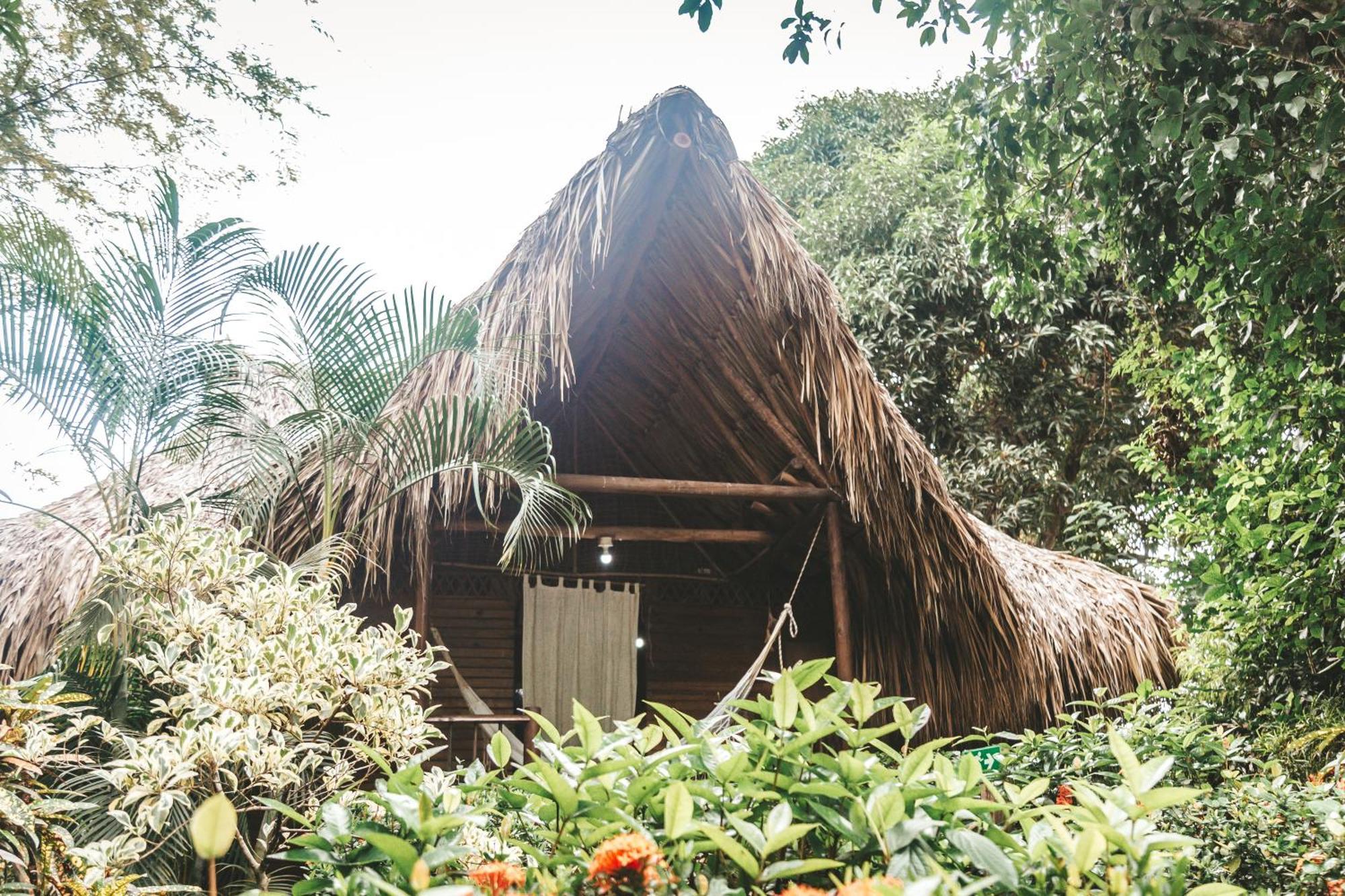 Cabana Wiwa Tayrona 로스나란조스 외부 사진