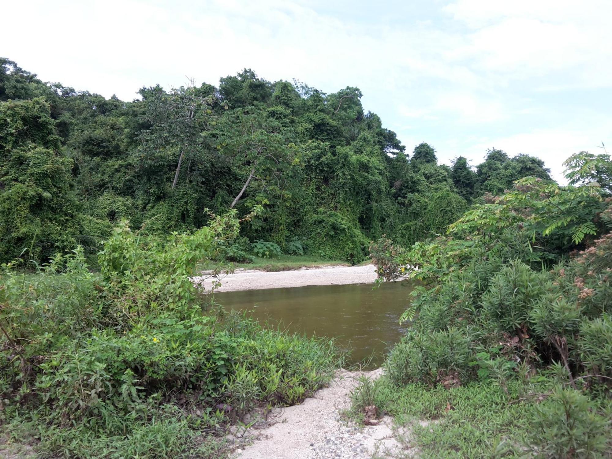 Cabana Wiwa Tayrona 로스나란조스 외부 사진