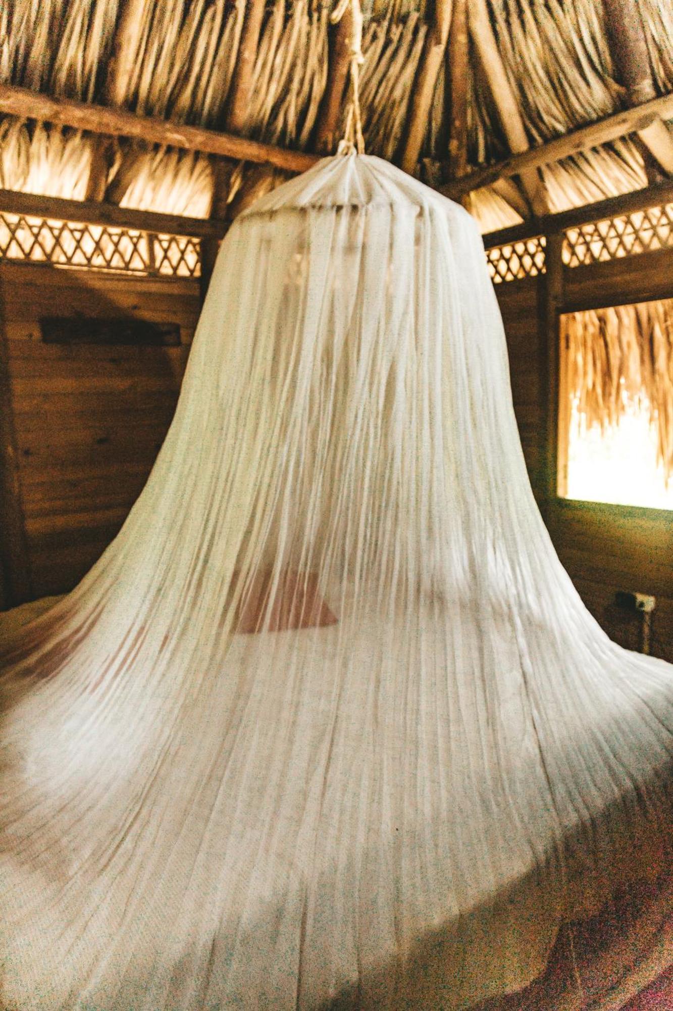 Cabana Wiwa Tayrona 로스나란조스 외부 사진