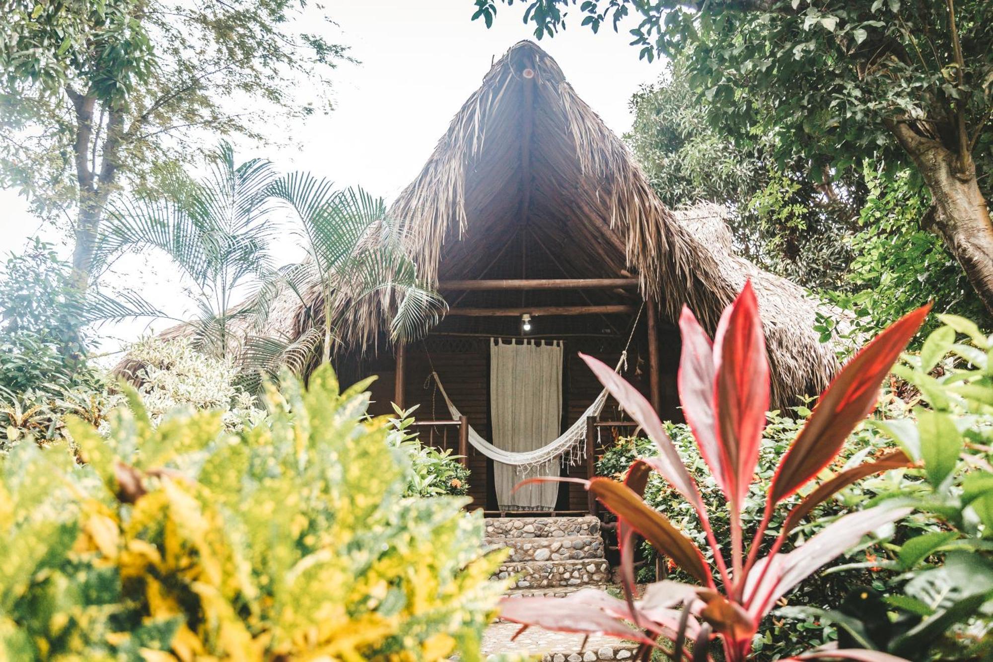 Cabana Wiwa Tayrona 로스나란조스 외부 사진