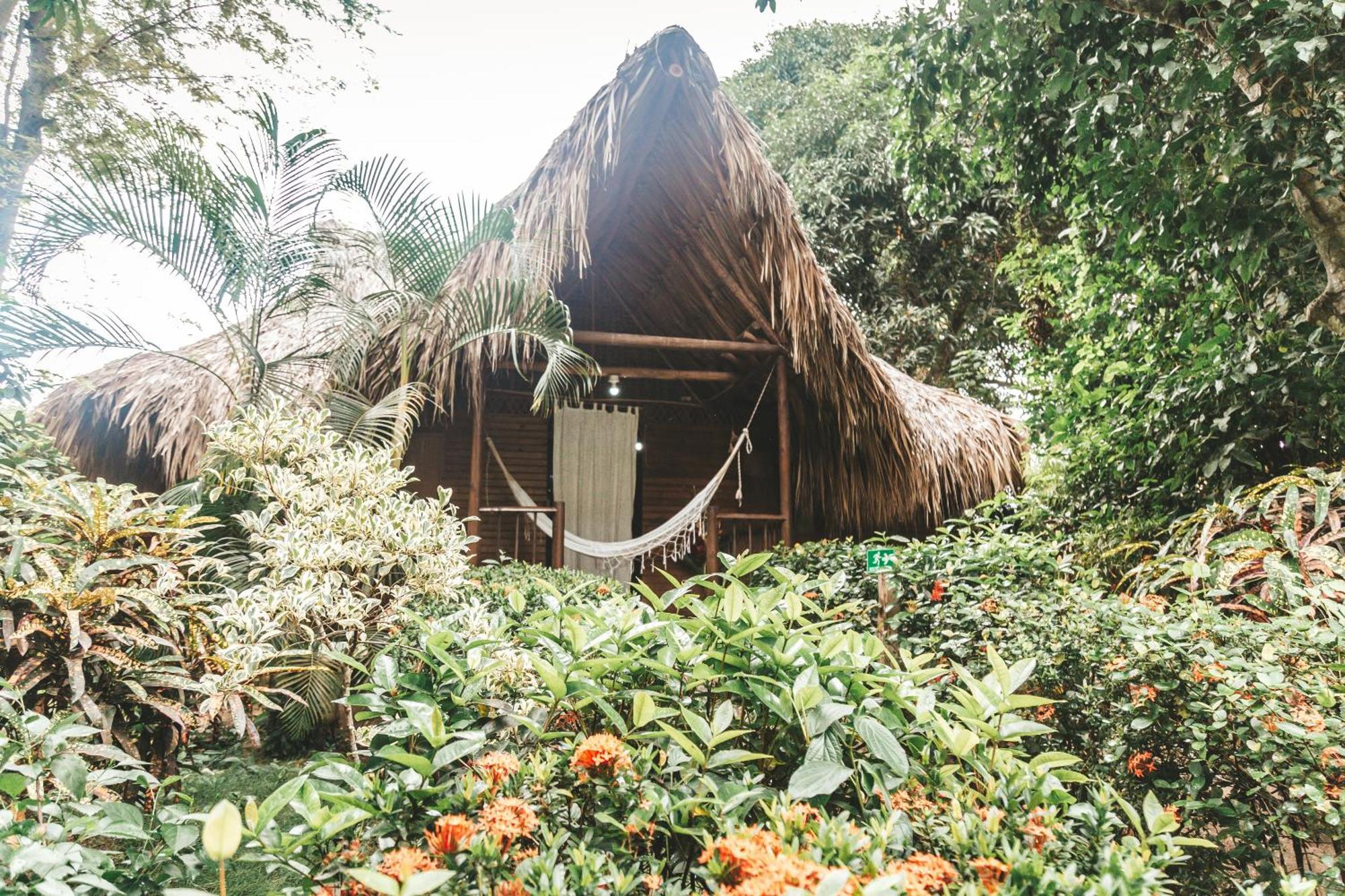 Cabana Wiwa Tayrona 로스나란조스 외부 사진